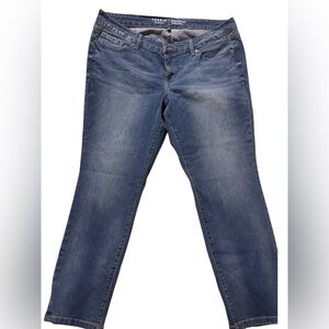 Torrid vintage style skinny jeans